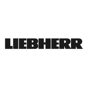 Liebherr-Transportation Systems GmbH & Co KG